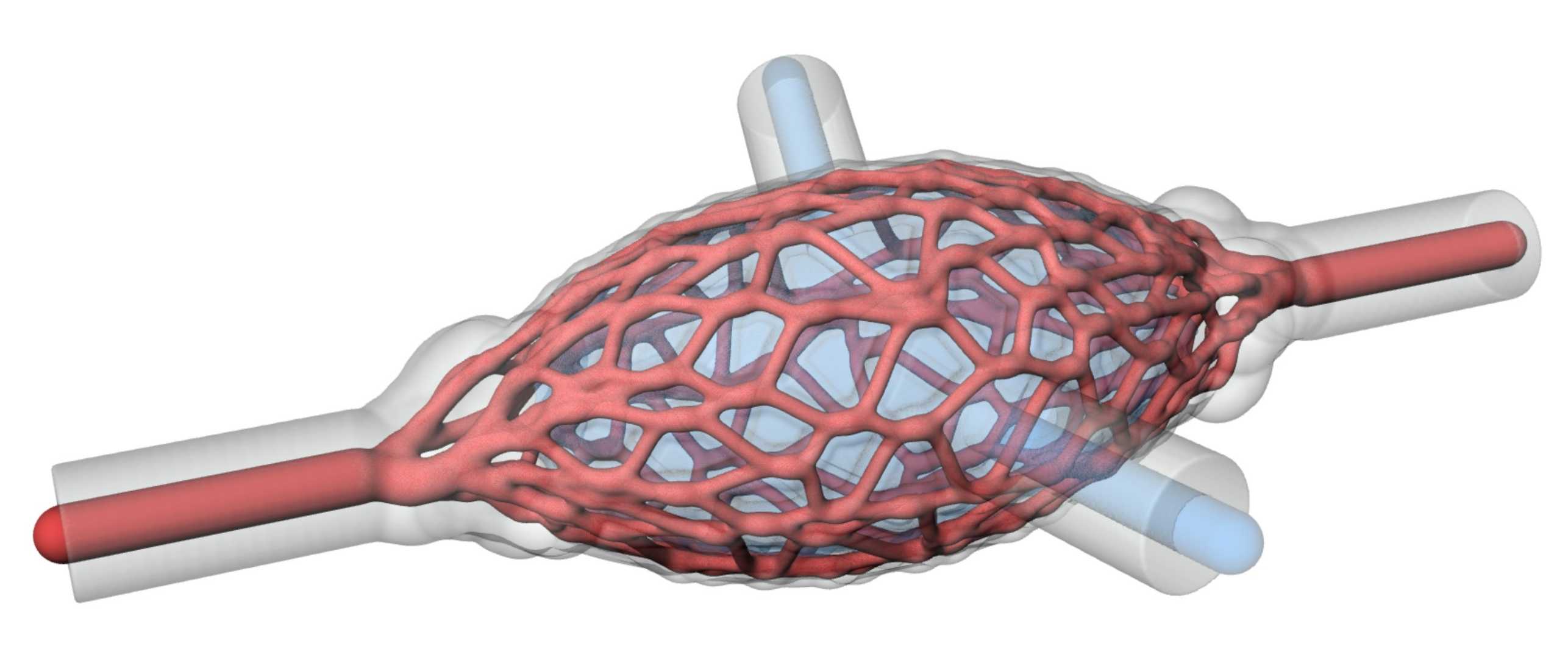 AM Silicone Lung